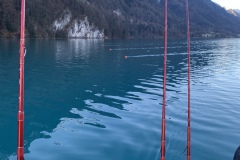 20210221_071006886_iOS
