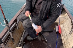 20210307_075903132_iOS