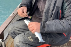 20210307_075906135_iOS