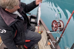 20210307_100738260_iOS