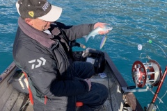 20210328_075410878_iOS