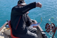 20210328_085650847_iOS